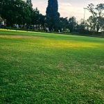 BL 2024-10-17 _171803~2 Brescia