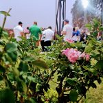 BL 2024-10-17 _182526~2 Brescia