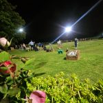 BL 2024-10-17 _190510~2 Brescia