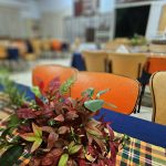 BL 2024-10-17 _190755~2 Brescia