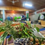 BL 2024-10-17 _190817~2 Brescia