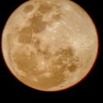 BL 2024-10-17 _191435~2 Brescia